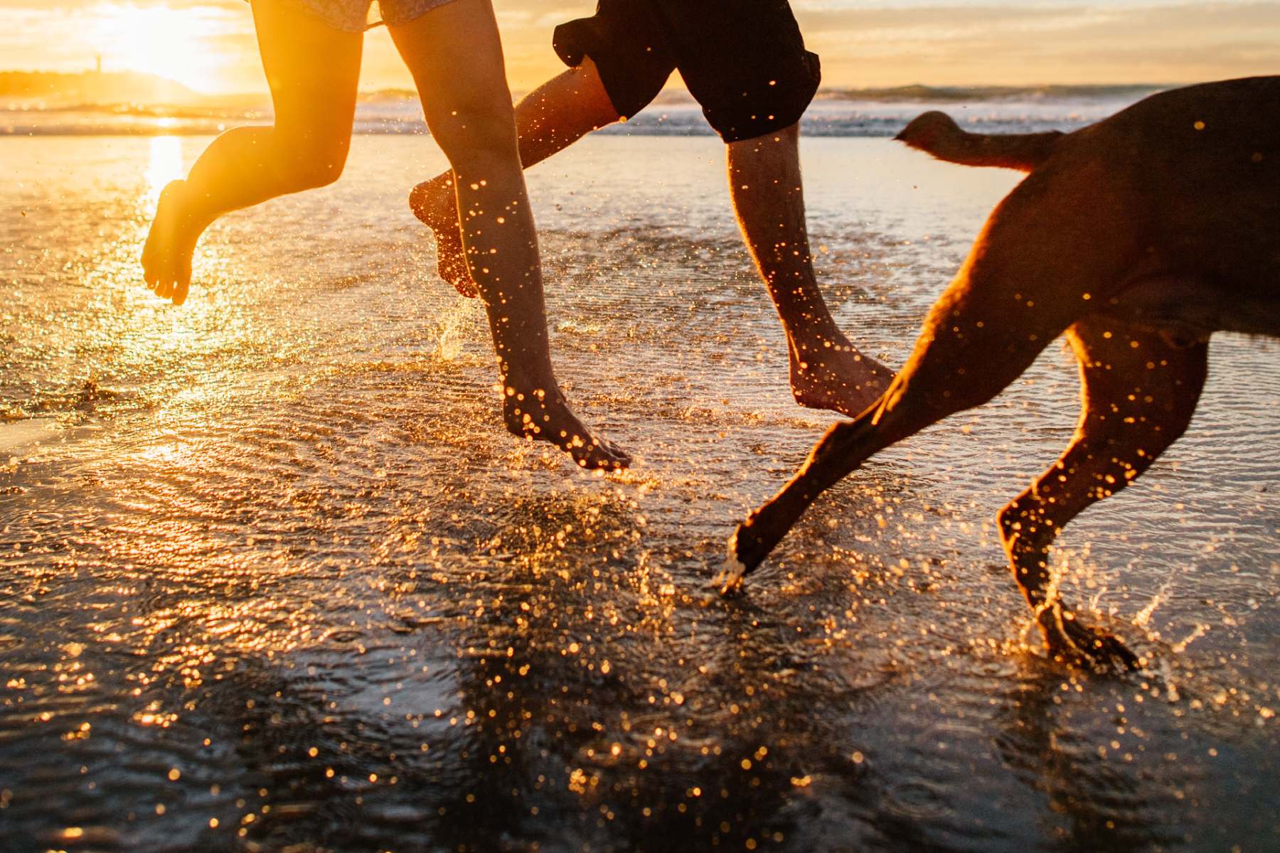 [Land for Sale] Aureus Estate, Skennars Head OpenLot